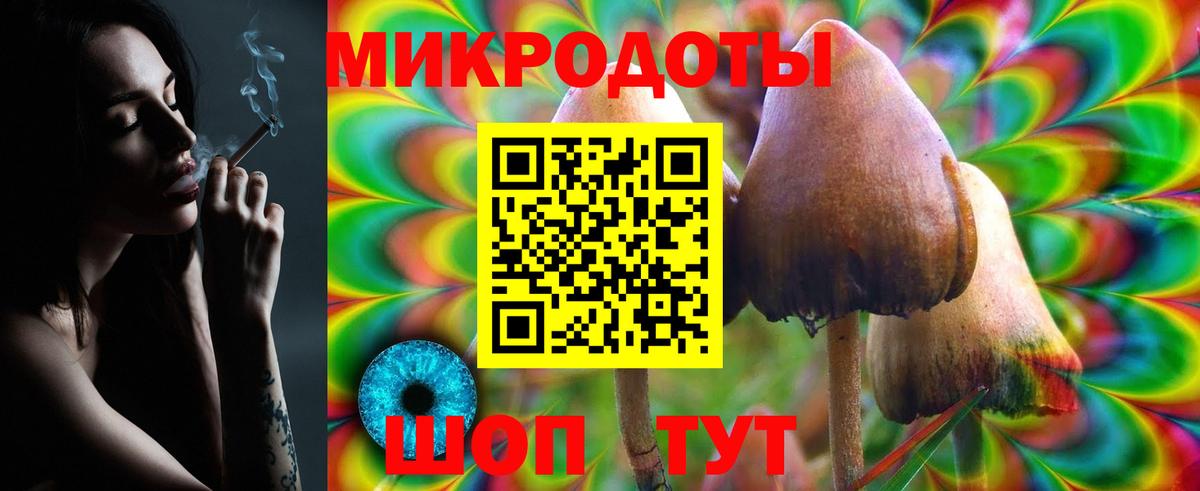 Псилоцибиновые грибы мухоморы Ленинск-Кузнецкий